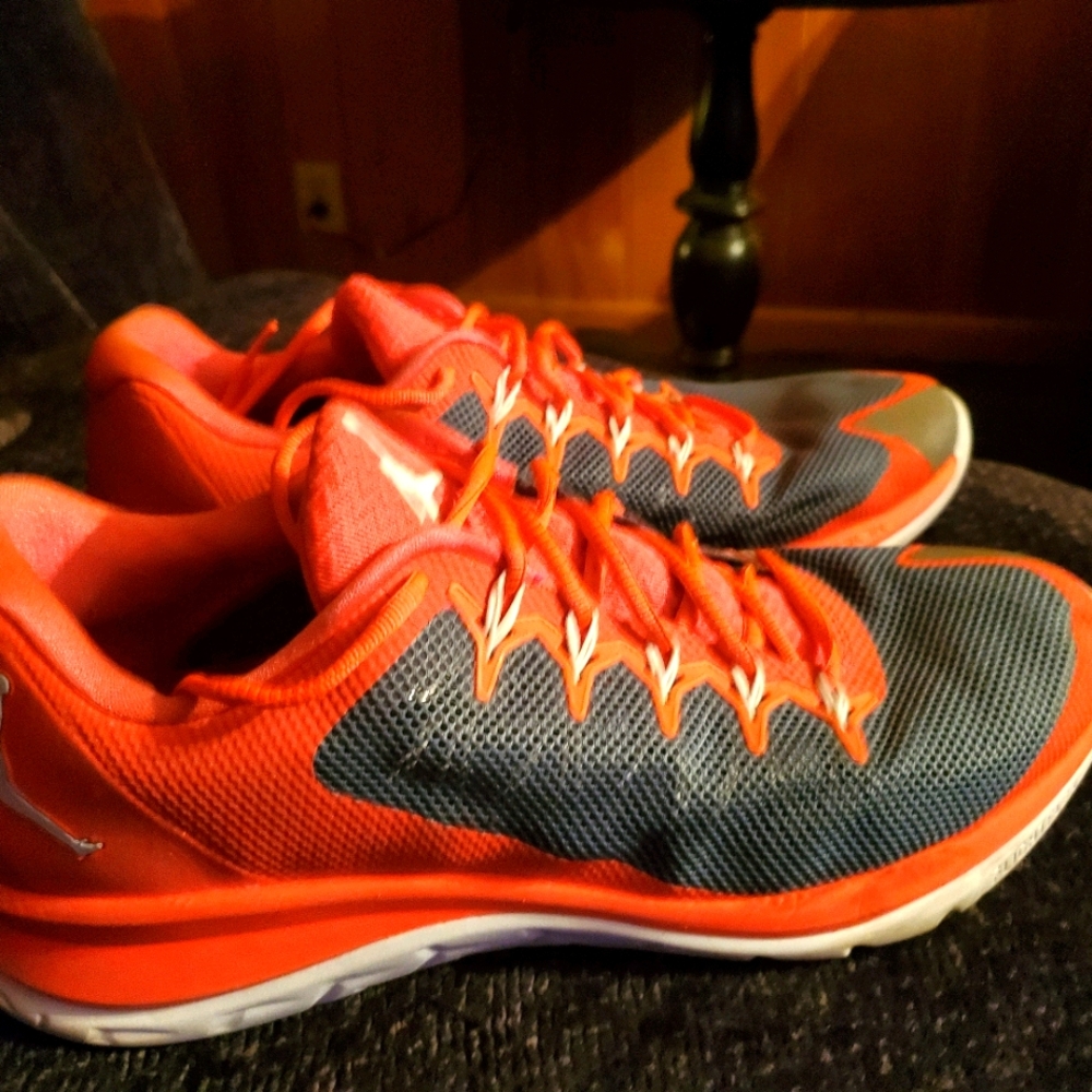 Nike Jordan Flight Runner 2 Shoez